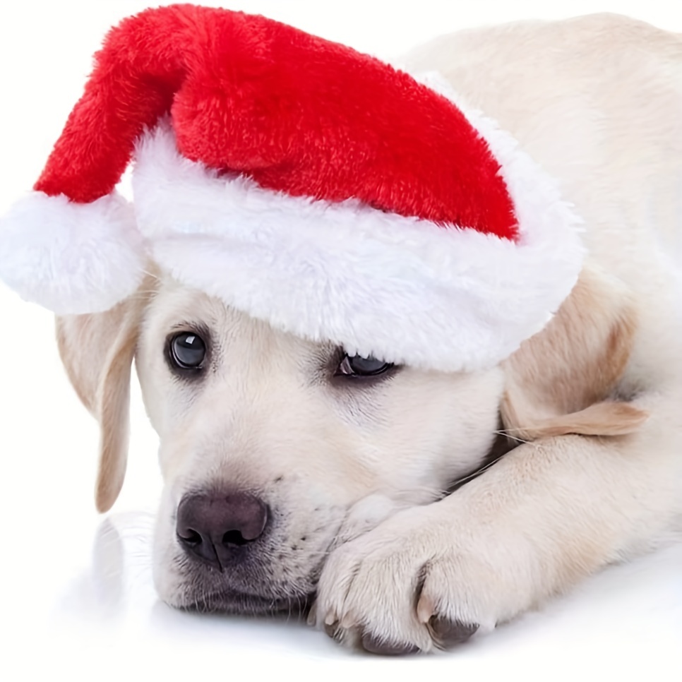 Santa Hat Plush - 1-10PCS Gorro de Navidad de Lujo