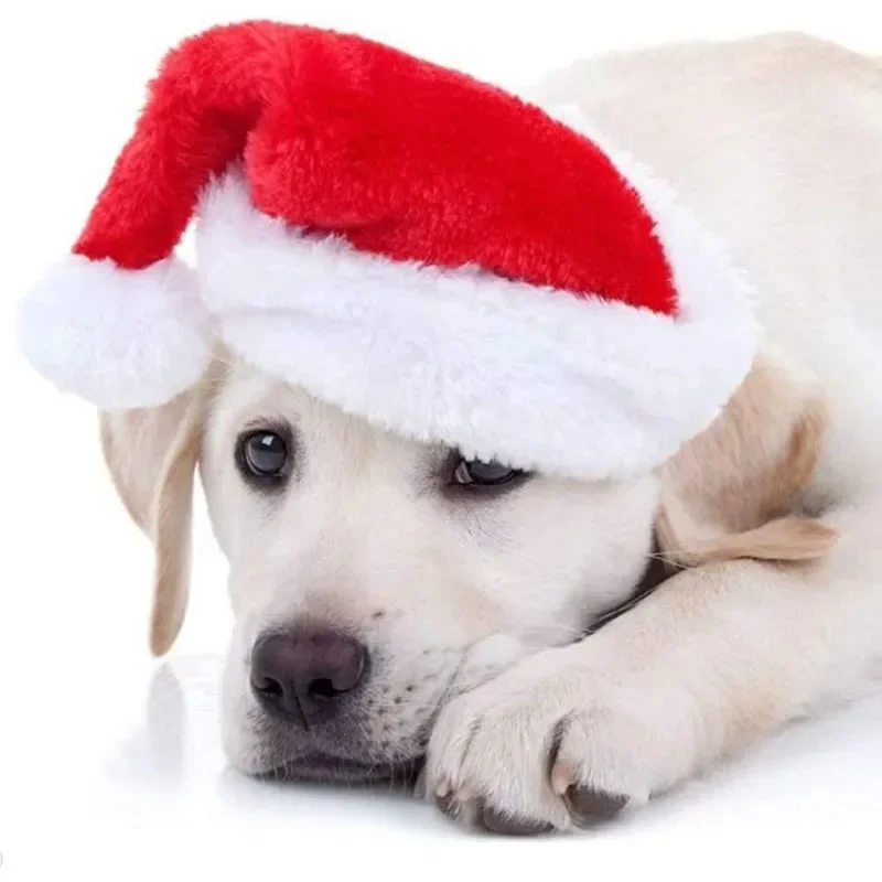 Gorro navideño de Papá Noel pa - Santa Hat Plush reseña y precio