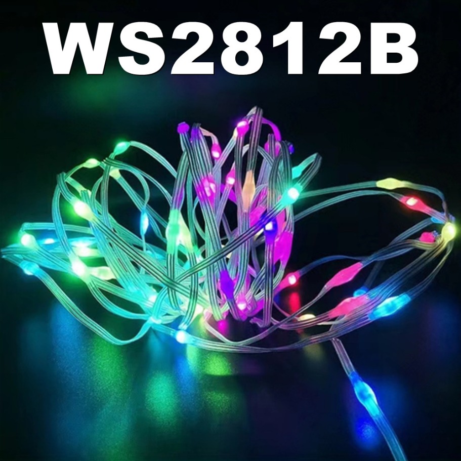 WS2812B Cadena de luz LED inte - Led Fairy String Lights reseña y precio